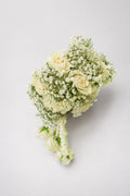 The Elegant White Cascade
